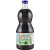 Fabbri SYRUPMATIC FABBRI MENTA KG3