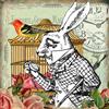 ReallyFabCards Ltd Alice nel paese delle meraviglie biglietti: White Rabbit and Roses - New in cello (NC18)