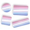 Generic LGBT Bigender Pride Flag bandiera dell'orgoglio perno
