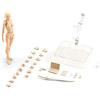 Generic Body Kun Action Figure, Disegno Action Figure Model, Action Figure Disegno Modello, Disegno Modelli Figure Per Artisti, Kun DX E Corpo, Pittura Puntelli Collezione Desktop Decor Fotografia Puntelli