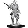 Dungeons & Dragons Wizkids Games WK73539 accessori