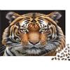 KZQJXNHPCR Tiger Portrait Puzzle 1000 Pezzi per Adulti e Bambini, Arte Realistica con Tigre, Gioco Difficile e Arredamento per la Casa 70x50cm