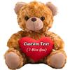 MeterBear Orsacchiotto di peluche personalizzato con foto e testo su cuore, Teddy Bear Orsetto di peluche con cuore come regalo di Mi dispiace per lei e lui per San Valentino, Anniversario (20cm)
