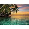 LIthyc Palme di mare - Puzzle in legno da 1000 pezzi - Regalo a sorpresa per adulti e bambini