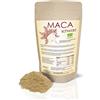 SVITA Maca Bio nero (100 g) estratto di radice di maca polvere (gelatinizzata, gelatinizada)