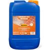 Bauchem Dekrust 100 Il Dopo Posa Disincrostante 5 lt