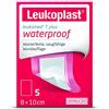 Leukoplast Leukomed T Plus Sterile 8 x 10 cm, confezione da 5
