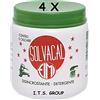 ITS GROUP 4 CONFEZIONI DI Fimi Solvacal Disincrostante Per Sanitari