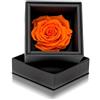 Aluisi Fiori Rosa Stabilizzata Arancione in Cofanetto Nero - Rosa Stabilizzata Vera - Rosa Eterna - Fiore Stabilizzato - Fiori Stabilizzati - Simbolo di Generosità e Gioia - Idea Regalo
