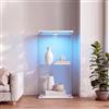 DADEA Vetrinetta in Vetro 2 Ripiani 1 Porte, Vetrina in Vetro con LED, 36.5×40×86cm, Vetrina Colonna Espositiva Vetrinetta Casco con LED et Serratura Vetrine per Collezionisti Vetrinette Espositive