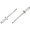 Screws City Rivetto cieco pop 4,8 mm x 18 mm, testa svasata, albero in alluminio/acciaio, ISO 15978 (confezione da 20) E6B