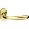 Forme Maniglia Porta Blindata Rosetta Ovale Goccia Dx - Lucido Verniciato