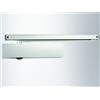 Geze TS5000L - Chiudiporta EN 2-6, colore: Argento