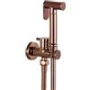 YYBAO Spruzzatore per Bidet Portatile Acqua Fredda, Oro Rosa Bidet Portatile Kit a Parete Ottone Doccetta Bidets con Tubo e Supporto, per Igiene Personale Doccia Bagno WC