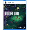 BIGMODE Animal Well - Playstation 5