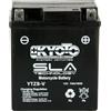 Generico YTZ8V KYOTO BATTERIA PRECARICATA PRONTA ALL'USO COMPATIBILE CON YAMAHA YPR 400 X-MAX ABS, 2018/2020 YPR 125 X-MAX ABS 2018/2020