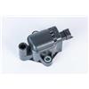 Beru AG BorgWarner (BERU) Bobina d'accensione 12V Sistema Di Accensione ZS593