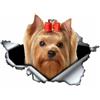 ROPEME Adesivi E Decalcomanie per Auto 13Cmx12Cm Yorkshire Terrier Adorabile Cane da Compagnia Adesivo per Auto Decalcomania Impermeabile Accessori Auto per Moto Decorazione in PVC, （2 Pezzi）