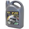 MINERVA OIL Minerva Olio Motore Olio 4 Tempi Minerva Maxiscooter-Moto 4TM Sintesi 10W40 (5L) 100% Made in Francia