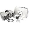 Generico 53498.00 Gruppo Termico Cilindro 80 CC Dm 48 Corsa 42 Parmakit Minarelli P4 P6 CON TESTA RADIALE