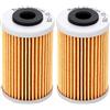 Road Passion 155 Filtro Olio HF155 580.38.005.000 580.38.005.100 580.38.005.101 901.38.015.000 2520754 Compatibile con Betamotor 250/400/450/525 RR/Gas Gas 700 / FC450 FE550 FE450 FE550（2 pezzi）