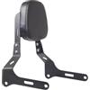 Wnfmjqe Portapacchi Posteriore Per Kawasaki Per Eliminator 500 2024 2025 Sissy Bar Con Cuscino Pad Moto Eliminator 500 Passeggero Posteriore Staccabili Schienale Portapacchi Posteriori
