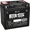 BS Battery Batteria moto BS SLA 53030 AGM - Senza manutenzione - 12 V 30 Ah - Dimensioni: 186 x 130 x 171 mm compatibile con BMW K100, K100RS, RT 1000