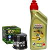 Kit-Tagliando Kit tagliando 4L Castrol Power 1 10W40 filtro olio HifloFiltro HF204