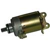 AER MOTO SPARE PARTS MOTORINO AVVIAMENTO Hexagon LX4 125 1998-1999 Liberty 4T 125 1998-2000 Sfera FL 125 1995-1997 Vespa ET4 125 1996-1999