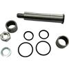 seba.ricambi Kit Revisione Perno Sospensione Anteriore per Piaggio Vespa 50 90 125 Primavera Et3 Pk 50 Pk 50 Xl