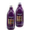 FEI FAN Shampoo ANTIGIALLO, Tonalizzante, Per Capelli Biondi, Grigi e Decolorati. Con Micropigmenti Viola e Proteine Del Grano. Formula Professionale Con Acido Ialuronico 500ml (2 Flaconi)