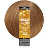 L'OREAL TECHNIQUE L'Oreal Excellence HiColor Sandstone Blonde by L'Oreal Paris
