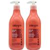 FEI FAN Shampoo COLOR PLUS Protettivo, Per Capelli Colorati o Con Mèches. Con Estratto Di Papavero e Revocolor Complex. Con Tappo Dosatore 500ml (2 Flaconi)