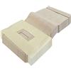 Staubbeutel24 10 SACCHETTI PER ASPIRAPOLVERE PHILIPS: P85, P90, P91, P92, P93, P95, P96, P97, P98, P99