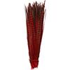 AMIZOB Confezione da 15 piume di fagiano tinte naturali, 30,5-35,6 cm, colore: rosso
