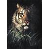 Craft Kreatively carta di riso della tigre, 29,21 x 40,64 cm - for Decoupage Furniture Crafts