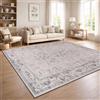 Paco Home Tappeto Soggiorno Vintage Pelo Corto Stile Boho Lavabile Antiscivolo Facile Da Pulire Design Retro Moderno, Colore:Argento, Dimensione:240x340 cm