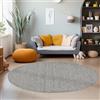 Teppium Tappeto Moderno per Soggiorno Robusto Tappeto a Ciclo Chiuso Mélange Monocolore con Struttura Tappeto Decorativo Cut-Loop per un Ambiente Raffinato, Misurare: 160 cm Rotondo, Colore: Grigio