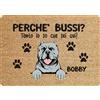 fashwork Tappeto PERSONALIZZATO con nome cane divertente Pitbull Perchè bussi? Zerbino in poliestere 60x40 cm
