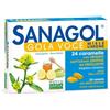 Sanagol Gola Voce Gola Voce Erisimo Caramelle Balsamiche Miele E Limone 24 Pezzi