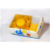 N/D Sottobicchieri Reggibicchieri in Plastica Set 6 Pezzi Porta Bicchieri Antivento Anticaduta (Giallo)