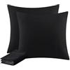 Aisbo Federe Cuscini Letto 40x40 - Coppia di Federe Cuscini Letto Matrimoniale, con Cerniera, Microfibra, Traspiranti e Morbidissime, Nero