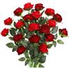 JUSTOYOU 20 PZ Rose artificiali a doppio colore, Rosa in seta fiorita con gambo, Bouquet di rose artificiali fiori realistici per casa tavolo ufficio feste matrimoni giardino composizioni (Rosso+