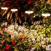 ZWOOS 4PC Luci Solari Esternoi Per Giardino All'Aperto, Luce Solare Esterno Bianco Caldo Per Esterno,Molto Luminoso Ip65 Impermeabile, Adatto Per Patii, Vasi Di Fiori, Di Illuminazione Del Percorso