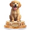 HLCYANYA Espositore in acrilico personalizzato, statuetta in acrilico con immagine a cartone animato personalizzata, decorazione da scrivania personalizzata, regalo per familiari, amici, partner (Base 6)