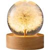 QENETY Luce notturna a sfera di cristallo fiore 6,1 cm in resina epossidica con base in legno, sfera di cristallo rimovibile, lampada da tavolo decorativa per camera da letto (dente di leone)