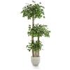 Maia Shop Piante Finte da Interno - Ficus Artificiale, 175 x 80 cm con 3 Chiome di Foglie, Albero Artificiale con Vaso in Plastica, Decorazioni Casa