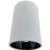 vetrinein rete Vetrineinrete® Faretto a led cob 20 watt plafoniera da soffitto a cilindro in allumini bianco a luce fredda 6500k calda 3000k naturale 4000k (Luce Calda 3000k) B64
