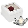 DC DEBORA CARLUCCI Debora Carlucci - Rosa Stabilizzata Loto in Cristallo 5 Petali Rosa Eterna Idea Regalo Donna,Compleanno, Anniversario,Festa della mamma o Bomboniera Design Elegante Made in Italy Ø7xH4 cm (Panna)