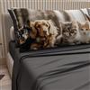 PETTI Artigiani Italiani - Lenzuola Animali con Gatti e Cani in Cotone con Federe in Stampa Digitale, Lenzuola Matrimoniali, Completo Letto Matrimoniale Grigio Scuro, 100% Made in Italy